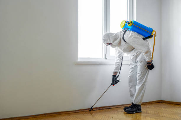 Best Real Estate Pest Inspections  in Governors Village, NC